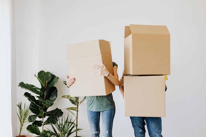 Organized cardboard boxes for personal storage