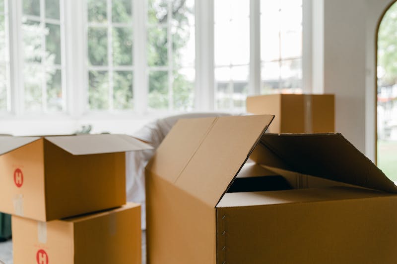 Person carrying moving boxes